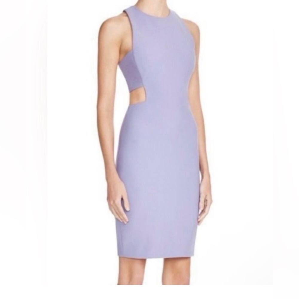 Elizabeth and James Lavender Cocktail Dress, size 2